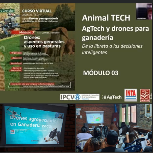 Charla Virtual